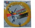 Leoina Geo Gold